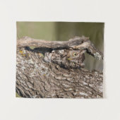 Eastern Screech Owl Wandkleed (Voorkant (horizontaal))
