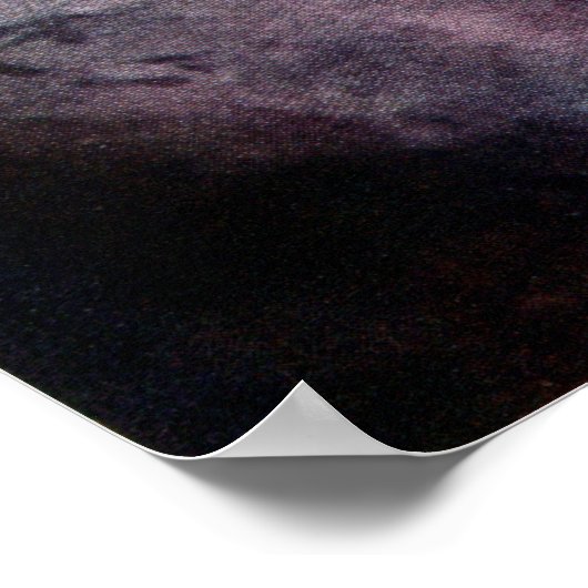 Eastern Screech Owls Poster (Hoek)