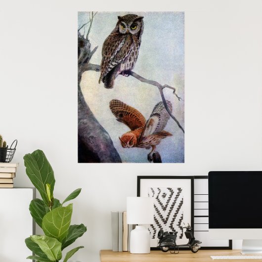 Eastern Screech Owls Poster (Thuiskantoor)