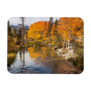 Eastern Sierra, Bishop Creek, uitlaat Californië Magneet
