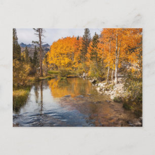 Eastern Sierra, Bishop Creek, uitlaat in Californi Briefkaart