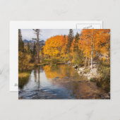 Eastern Sierra, bisschop Creek, California Outlet Briefkaart (Voorkant / Achterkant)