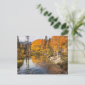 Eastern Sierra, bisschop Creek, California Outlet Briefkaart (Staand voorkant)