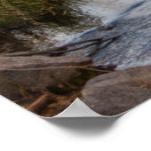 Eastern Sierra, bisschop Creek, California Outlet Poster (Hoek)