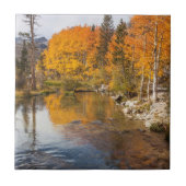 Eastern Sierra, bisschop Creek, California Outlet Tegeltje (Voorkant)