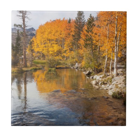 Eastern Sierra, bisschop Creek, California Outlet Tegeltje (Voorkant)