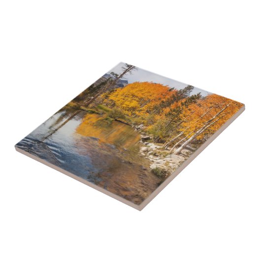 Eastern Sierra, bisschop Creek, California Outlet Tegeltje (Zijkant)