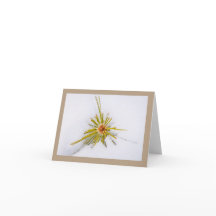 Eastern Sierra Snapshots-notitiekaarten