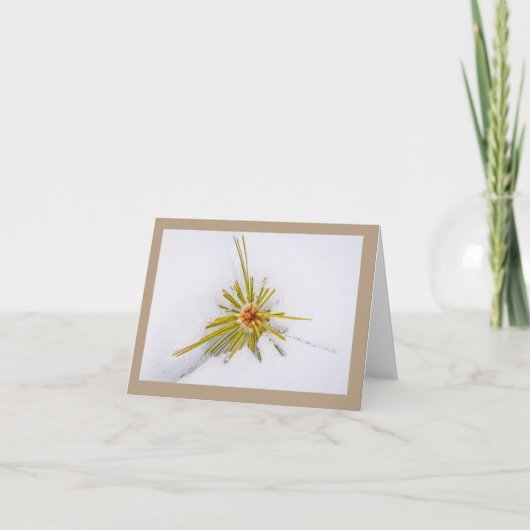 Eastern Sierra Snapshots-notitiekaarten Feestdagen Kaart (Voorkant)