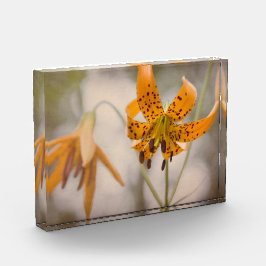 Eastern Sierra Tiger Lilies Wildflower Photo Block Fotoblokken