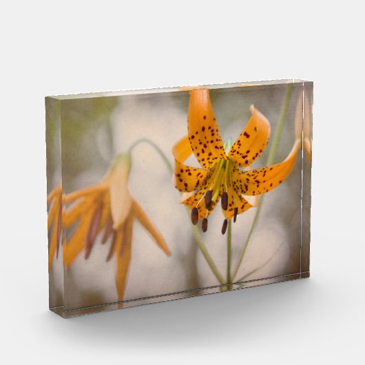 Eastern Sierra Tiger Lilies Wildflower Photo Block Fotoblokken (Links)