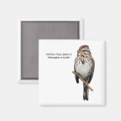 Eastern Song Sparrow Magneet (Voorkant / Achterkant)