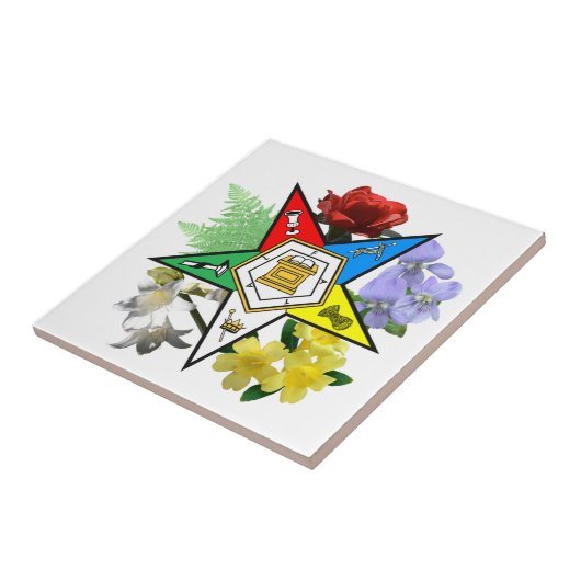 Eastern Star Floral Tile Tegeltje (Zijkant)