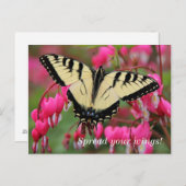 Eastern Swallowtail Briefkaart (Voorkant / Achterkant)