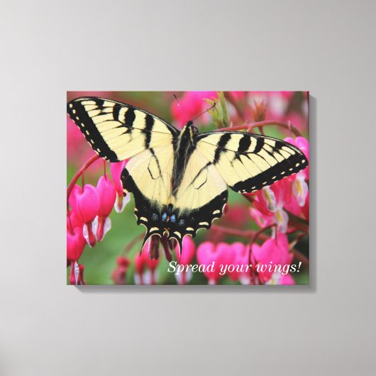 Eastern Swallowtail Canvas Afdruk (Voorkant)