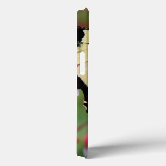 Eastern Swallowtail Case-Mate iPhone Case (Achterkant / Rechts)