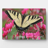 Eastern Swallowtail Fotoplaat (voorkant)