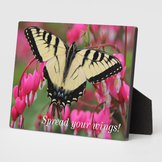 Eastern Swallowtail Fotoplaat (Zijkant)