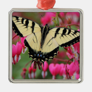 Eastern Swallowtail Metalen Ornament