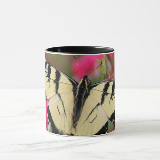 Eastern Swallowtail Mok (Midden)