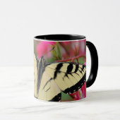 Eastern Swallowtail Mok (Voorkant rechts)