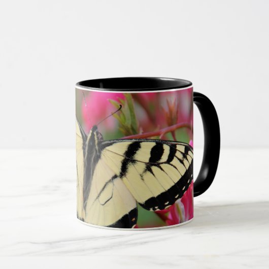 Eastern Swallowtail Mok (Voorkant rechts)