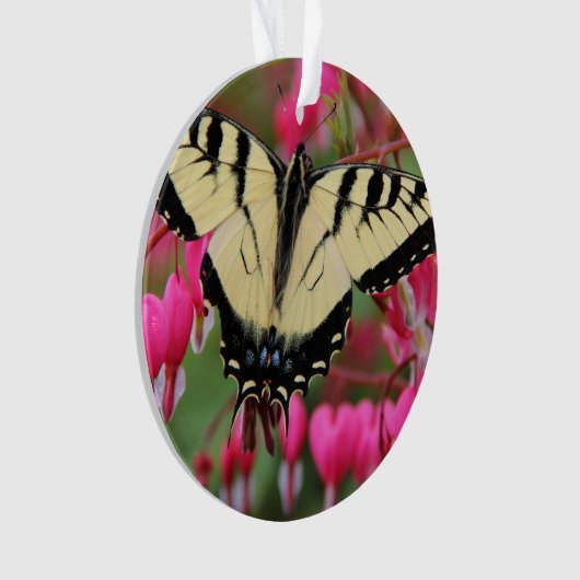 Eastern Swallowtail Ornament (voorkant)