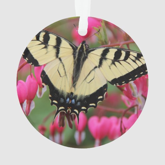 Eastern Swallowtail Ornament (achterkant)