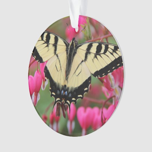 Eastern Swallowtail Ornament (voorkant)