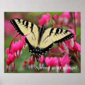 Eastern Swallowtail Poster (Voorkant)