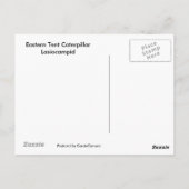 Eastern Tent Caterpillar Briefkaart (Achterkant)