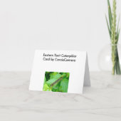 Eastern Tent Caterpillar Note Kaart (Achterkant)