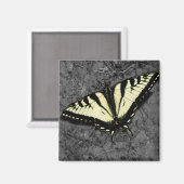Eastern Tiger Magnet (Voorkant / Achterkant)