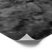 Eastern Tiger print (Hoek)