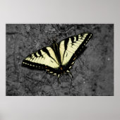 Eastern Tiger print (Voorkant)