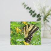 Eastern Tiger Swallowtail Briefkaart (Staand voorkant)