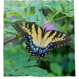 Eastern Tiger Swallowtail Butterfly Douchegordijn