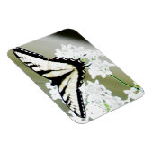 Eastern Tiger Swallowtail Butterfly Foto Magneet (Rechterzijde)