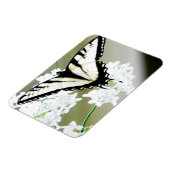 Eastern Tiger Swallowtail Butterfly Foto Magneet (Linkerzijde)