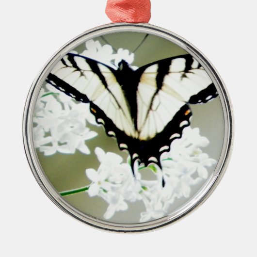 Eastern Tiger Swallowtail Butterfly Foto Metalen Ornament (Voorkant)
