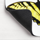 Eastern Tiger Swallowtail Butterfly Foto Muismat (Hoek)