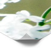 Eastern Tiger Swallowtail Butterfly Foto Poster (Hoek)