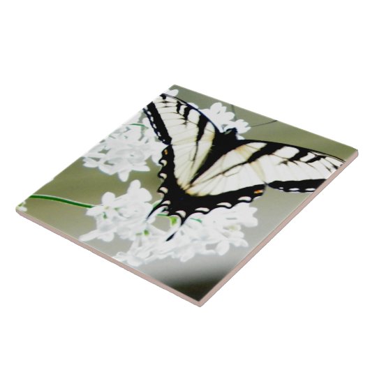 Eastern Tiger Swallowtail Butterfly Foto Tegeltje (Zijkant)