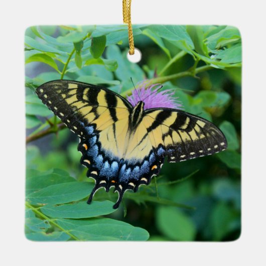 Eastern Tiger Swallowtail Butterfly Keramisch Ornament (Voorkant)