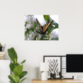 Eastern Tiger Swallowtail Butterfly op White Lila Poster (Thuiskantoor)