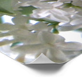 Eastern Tiger Swallowtail Butterfly op White Lila Poster (Hoek)