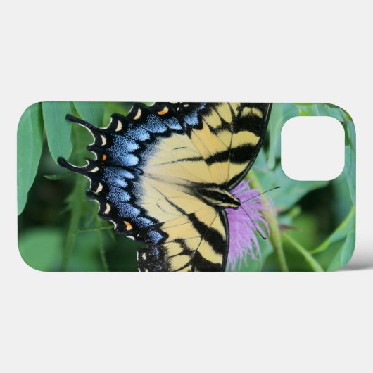 Eastern Tiger Swallowtail iPhone hoesjes (Achterkant (horizontaal))