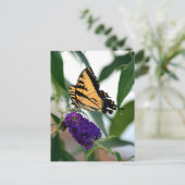 Eastern Tiger Swallowtail State Butterfly Foto Briefkaart (Staand voorkant)