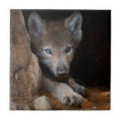 Eastern Timber Wolf Tegeltje (Voorkant)