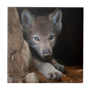 Eastern Timber Wolf Tegeltje